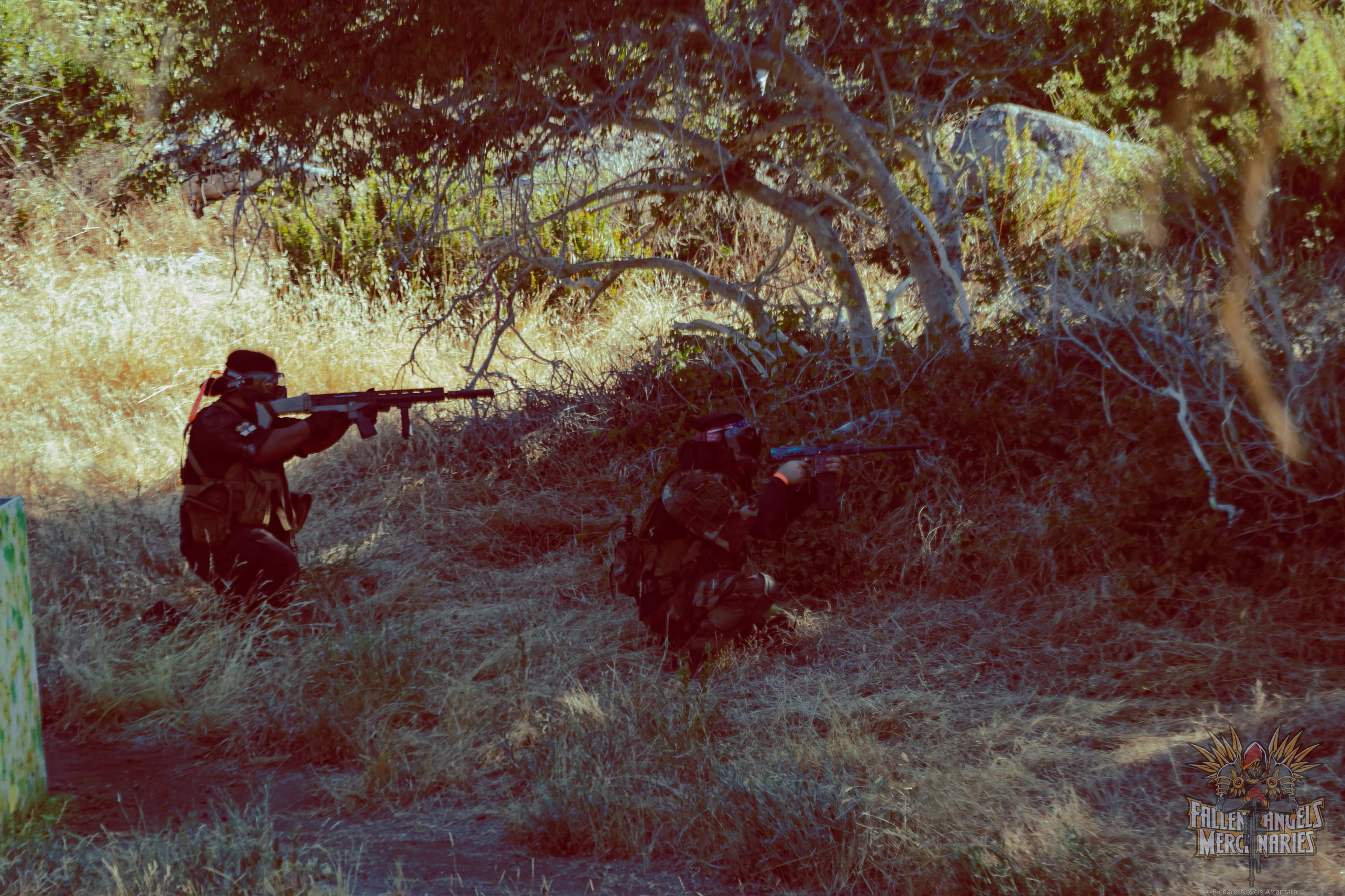 Fallen Angels Mercenaries gallery background